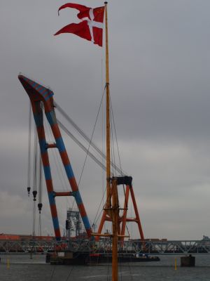 P4219456.JPG