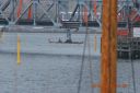 DSC_3286.JPG
