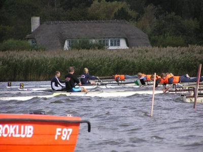 8GP5div1x.jpg