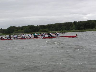 8GP5div82B.jpg