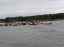8GP5div82B.jpg