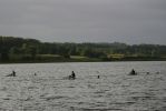 IMG_9542.JPG