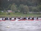 P1010013.JPG