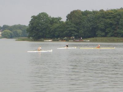 bagsvaerd2006_048.jpg