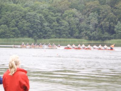 bagsvaerd2006_078.jpg
