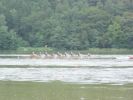 DSC07478.JPG
