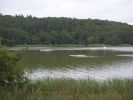 bagsvaerd2006_070.jpg