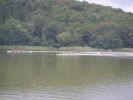 bagsvaerd2006_072.jpg