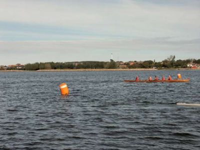 Aalborg_Regatta_005.jpg