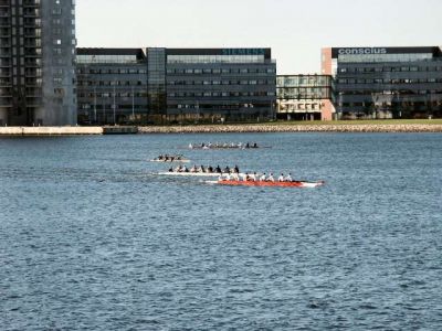 Aalborg_Regatta_064.jpg