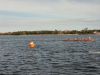 Aalborg_Regatta_005.jpg