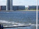 100_0442.jpg