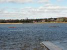 Aalborg_Regatta_2006_031.jpg