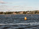 Aalborg_Regatta_2006_035.jpg