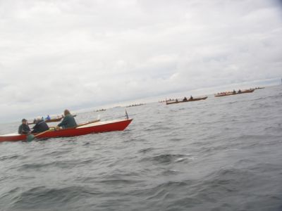 broroning2006_030.jpg
