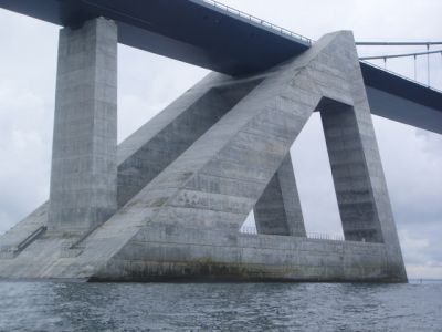 broroning2006_033.jpg