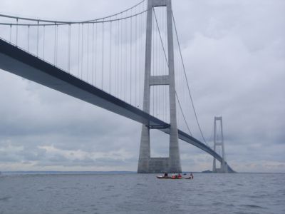 broroning2006_034.jpg