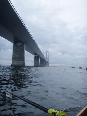 broroning2006_060.jpg