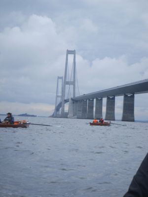 broroning2006_063.jpg