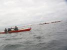broroning2006_030.jpg