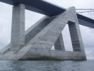 broroning2006_033.jpg