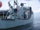 broroning2006_042.jpg