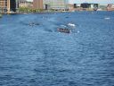 Copenhagen2520Harbour2520Race2520112.jpg