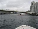CHR20082520069.jpg