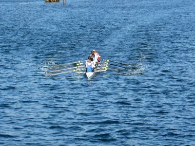 P1020623.jpg