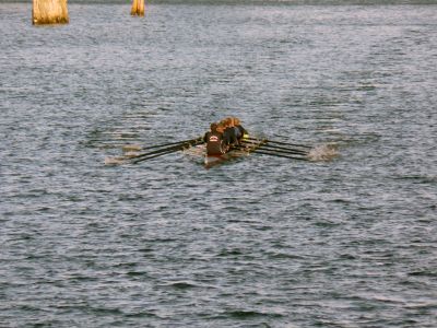 P1020626.jpg