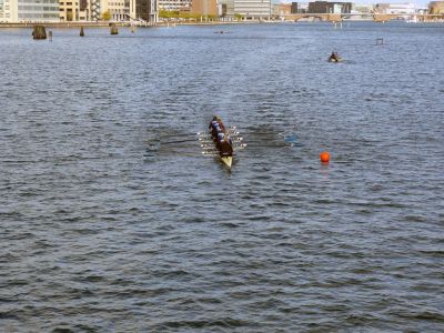 P1020642.jpg