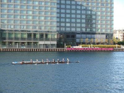 Foto lÃƒÂ¥nt fra Copenhagen Harbour Race
http://www.copenhagenharbourrace.dk/
