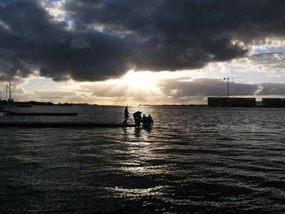 P6181641.JPG