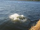Kanind_b_2006_046.jpg