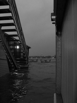jfl_5813_bw.jpg
