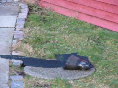 jpv_1029.jpg