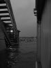 jfl_5813_bw.jpg