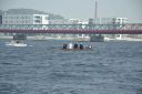 _DSC4649.JPG