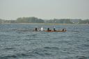 _DSC4655.JPG