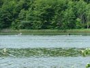 2005_0703_131230.JPG