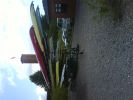 DSC00012.JPG