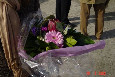 DSC01254.JPG