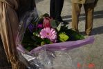 DSC01254.JPG