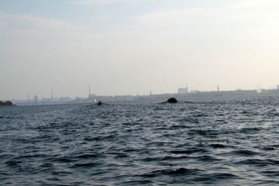 8gp_010.jpg