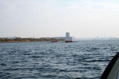 8gp_011.jpg
