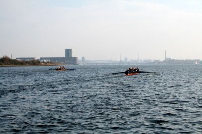 8gp_014.jpg