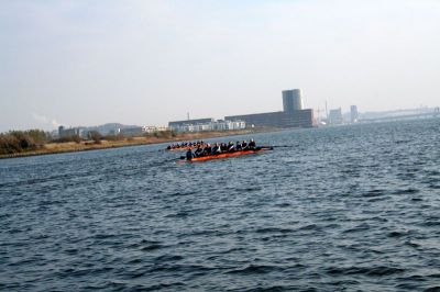 8gp_016.jpg