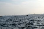 8gp_010.jpg